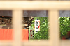 IMG_9259_thumb.png