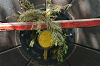 IMG_9382_thumb.png