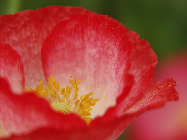 P5134249.JPG