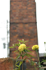 IMG_4101_thumb.png